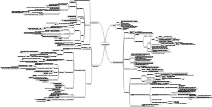 Enzymes and enzymatic reactions mind map