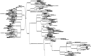 Lipid metabolism mind map
