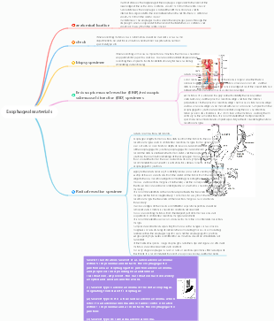 Pathology-esophageal material collection mind map