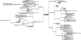 Physiology of bacteria