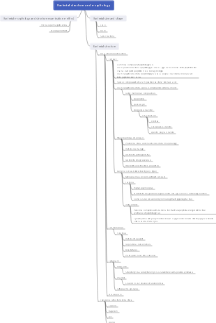 Bacterial structure and morphology