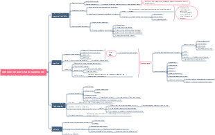 Mapa mental de instrucciones de desarrollo de funciones de la aplicación