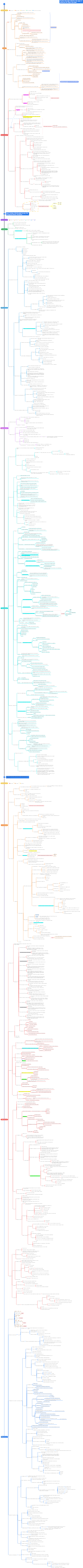 A self-study outline of the history of Chinese ceramics