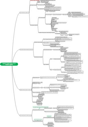 Mapa mental de gestión