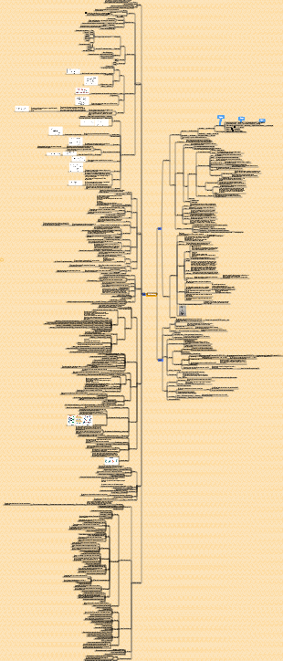 Food biochemistry general review mind map