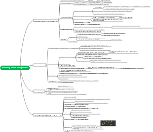 Mapa mental de estructura y función de las proteínas.