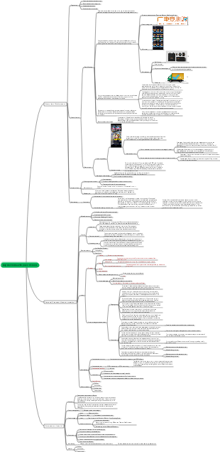 Physical store new media account building plan