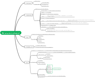 Mini program development