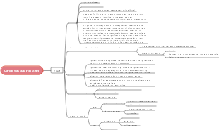 system anatomy