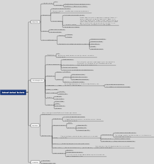 Animal-derived bacteria mind map