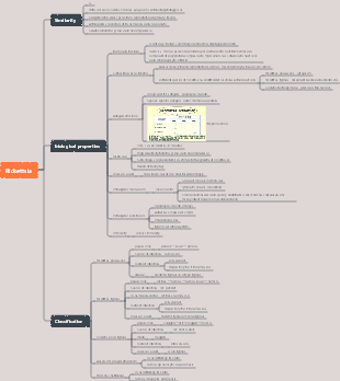 Rickettsia mind map