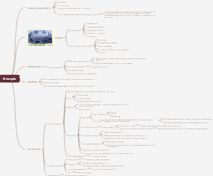 Chlamydia mind map