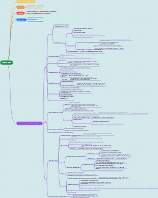 Herpes virus mind map