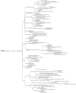 Circulatory system mind map