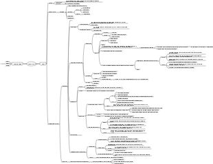 Urinary system mind map