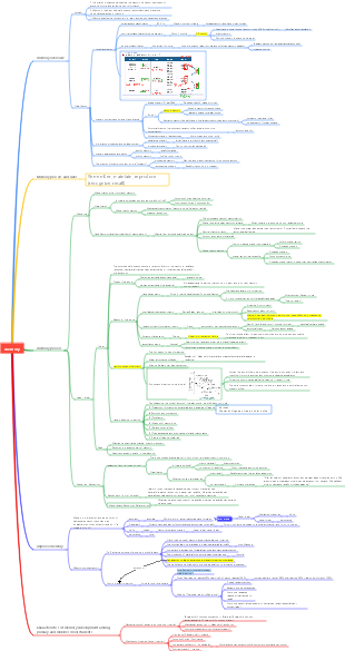 Cognitive Process.-Memory Mind Map