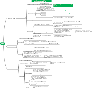 Matrix 2 mind map