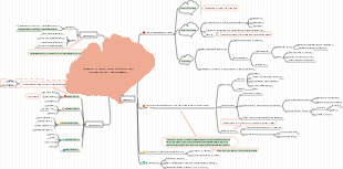 Chapter 4 Mind Map of Fetal Physiological and Psychological Development