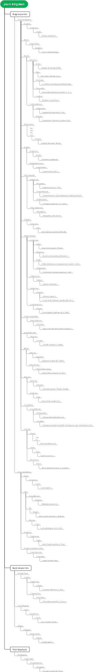 Plant kingdom mind map