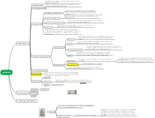 Mind map of Protozoa