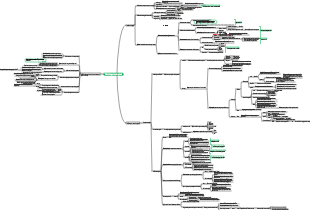 Biochemistry and Molecular Biology—Integration and Regulation of Metabolism