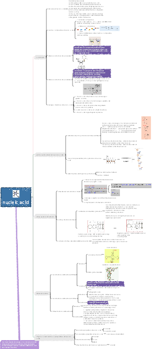 Biochemistry Nucleic Acid Mind Map