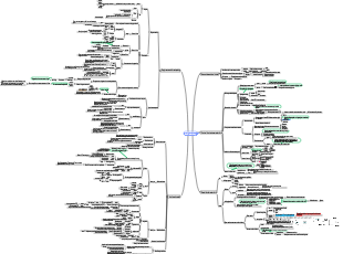 Biochemistry and Molecular Biology - Biochemistry of the Liver