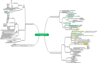 Virus mind map | Mind Map - EdrawMind