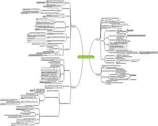 Psychology-Children’s Cognitive Development