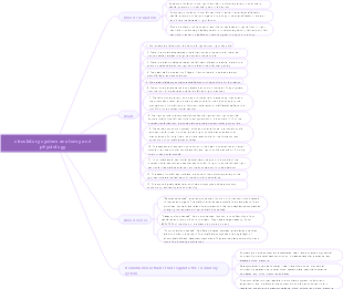 circulatory system anatomy and physiology
