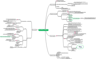 General Theory of Muscles