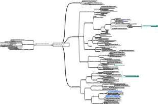 Drugs that act on the respiratory system