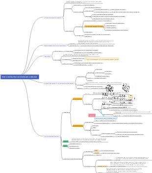 Medical Genetics Human Chromosomes and Chromosomal Aberrations