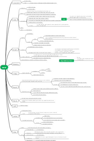 Computer Word function mind map