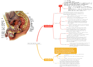 Andrology