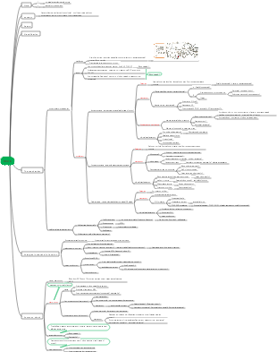 Pathophysiology-Shock