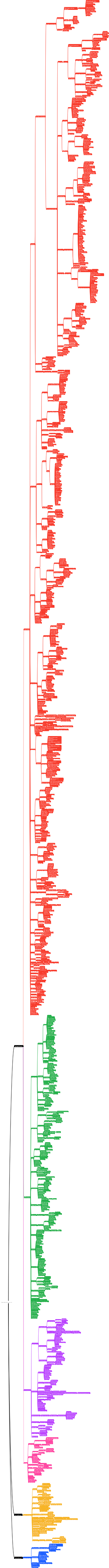 biological evolutionary tree