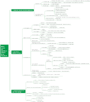 The Process of Western Art History 1