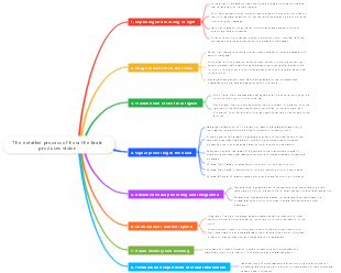 The detailed process of how the brain produces vision