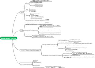 attitudes and their formation
