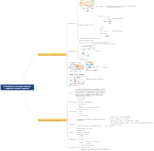 Pathophysiology—Disorders of Coagulation and Anticoagulation Balance
