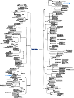 Western Sociological Theory (Key Edition)