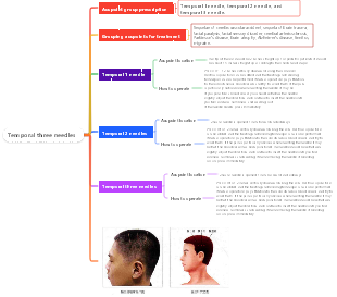 Traditional Chinese Medicine-Temporal Three Acupuncture