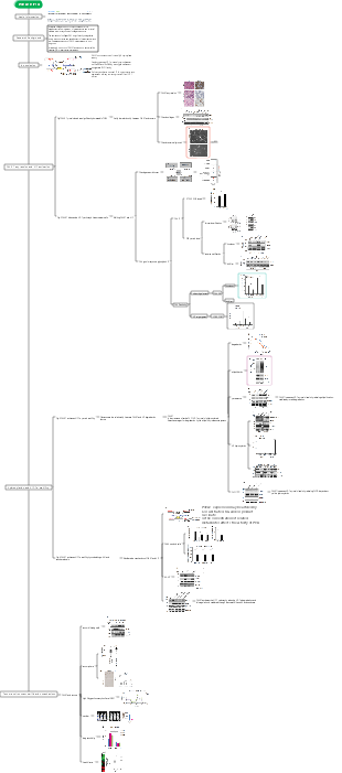 Medicine [Key Literature] Collagen Pro-4-hydroxylase 1