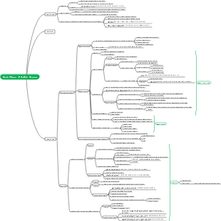 Basic Theory of Public Finance