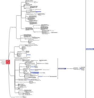 Top-level design and equity incentives