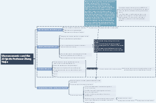Macroeconomics and the 20 Spirits Professor Zhang Yinjie