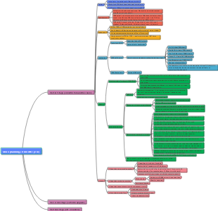 Store planning mind map