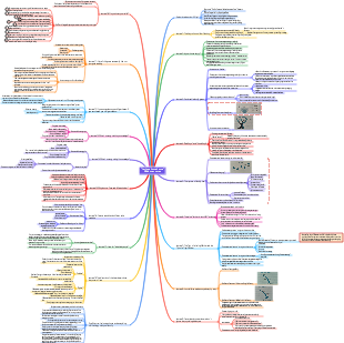 Let Love Come Home reading notes mind map