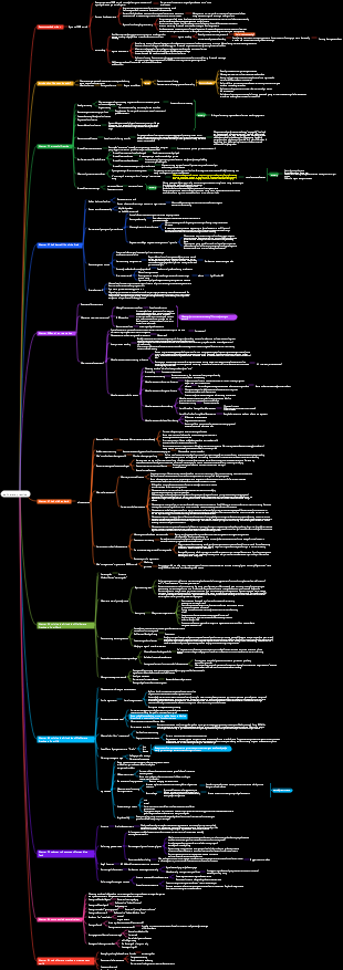 Deliberate Practice Mind Map